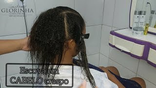 COMO FAZER UMA ESCOVA EM CABELO CRESPO  LISO PERFEITO SEM QUÍMICA [upl. by Notyap]