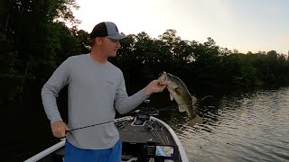 Lake Wedowee June Topwater Fishing 2024 [upl. by Nlocnil276]