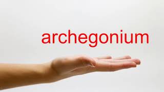 How to Pronounce archegonium  American English [upl. by Havelock]