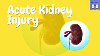 Acute Kidney Injury Pathophysiology Prerenal AKI Intrarenal AKI Postrenal AKI [upl. by Anadroj]