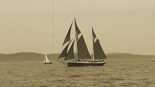 The Great Schooner Race Silent Film [upl. by Egarton]