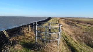 The Saxon Shore Way Sittingbourne to Conyer Teynham 25 November 2016 [upl. by Gilligan]