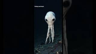 Aliens have been found in the depths of the sea  shortsfeed underwater alien shorts [upl. by Oniger]