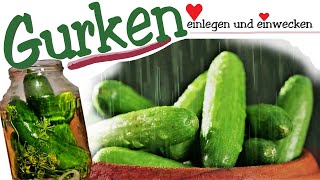 Gurken einlegen  Gewürzgurken  Spreewald Gurken  Senfgurken  Gurken einwecken und haltbarmachen [upl. by Alema]