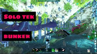 Ark Ascended  Building and Raiding In Sea Bunkers And Unlocking Full Tek Engrams [upl. by Harragan561]