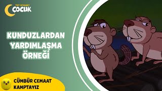 Kunduzların Yardımlaşma Örneği  Cümbür Cemaat Kamptayız [upl. by Liahkim]