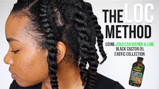 The LOC Method  Healthy Natural Hair Journey [upl. by Airliah]