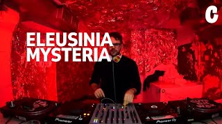 Guestzone w Eleusinia Mysteria CannibalRadio  16 Nov 2024 [upl. by Parthena]