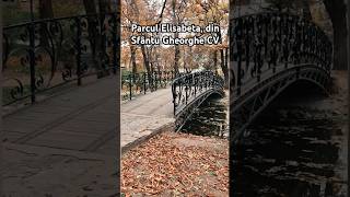 Sfântu Gheorghe CV romania covasna travel omulgheorghedabija nature history youtube ytshorts [upl. by Arsuy598]