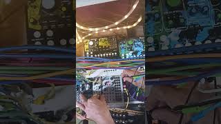 disting mk4 expertsleepers vco oscilator eurorack 2hp turingmachine turing random chaos [upl. by Gnud]