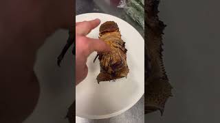 Flathead Slipper Lobster lobster food chef tasty seafood [upl. by Biddick]