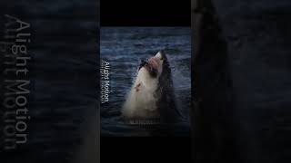 Saltwater Crocodile VS Great White Shark animals viral godzilla monsterverse debate short [upl. by Ragnar925]