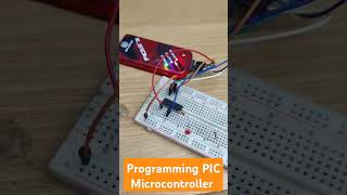 Programming PIC Microcontroller [upl. by Nemrak823]