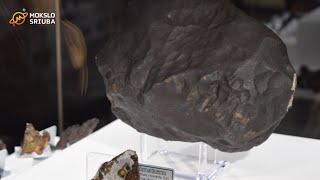 Didžiausia Baltijos šalyse meteoritų kolekcija [upl. by Akcirderf495]