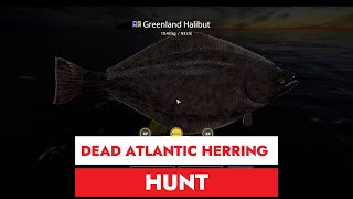 RUSSIAN FISHING 4  RF4  РУССКАЯ РЫБАЛКА 4  NORWAY DEAD ATLANTIC HERRING HUNT [upl. by Castillo]