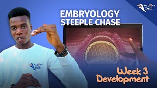 3RD WEEK OF DEVELOPMENT EMBRYOLOGY STEEPLECHASE QUESTIONS [upl. by Suilmann]