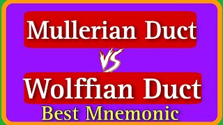 Mullerian Duct Vs Wolffian Duct Mnemonic  Mullerian Duct Anomaly  Wolffian Duct Anomaly upsccms [upl. by Dion286]