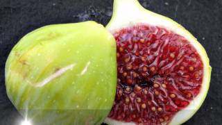 Fig varieties of Wolfskill orchard Davis California [upl. by Langham]