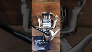 REEL SHIMANO SARAGOSA SW 6000 HG [upl. by Adala887]