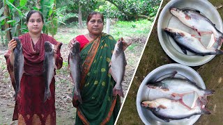 Pangas Fish Pangasius Cooking Recipe by Village Food Life  Pangas fish curry [upl. by Arianie]