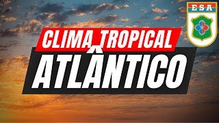 Características do clima tropical atlântico no Brasil [upl. by Noside]