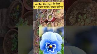 5 most beautiful flowering plants for winter winterflowersname winterflower shorts ytshorts [upl. by Belcher253]