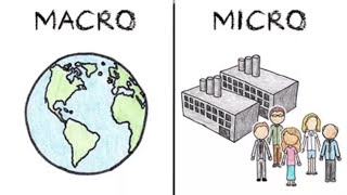 Macroeconomics vs Microeconomics [upl. by Atterys]