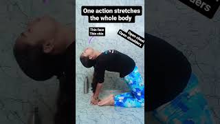 Ustrasana new yoga motivation lovestatus healthchallenge inspiration youtubeshorts youtube [upl. by Reffinej494]