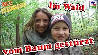 Blätter sammeln für die Schule  Im Wald vom Baum gestürzt Herbstferien VLOG TipTapTube [upl. by Zetneuq385]