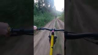 Rocky Mountain Growler fun downhill bike downhillmtb mtb mountainbike downhill enduromtb [upl. by Anselma]