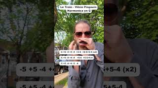 Le Train  Vilain Pingouin Harmonica G [upl. by Fattal]