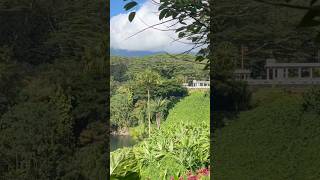 Kauai’s Hindu Monastery amp Temple hindutemple shivatemple yogaforbeginners meditation yoga [upl. by Curt]