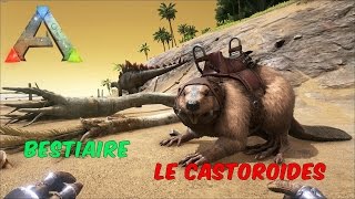 Ark Survival Evolved  FR  Bestiaire  Le Castoroides [upl. by Lucie919]