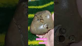 kalki shaligram saligrama laxminarayana gemstone shaligramshortsvideo [upl. by Faulkner]