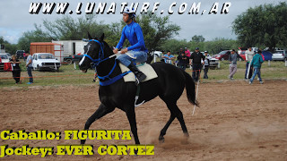 H ALMIRANTE BROWN EN CHAMICAL LR 7052017 FIGURITA TIGRE DE LOS LLANOS Y IROMAN [upl. by Ennaed]