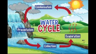 Water Cycle  Hydrological Cycle  Water cycle explanation  youtube water waterfall [upl. by Innavoj168]