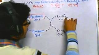 Metronidazole mode of action [upl. by Ver]