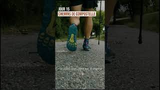 Chemins de Compostelle  Via Podiensis 750 km en 29 jours [upl. by Laban]