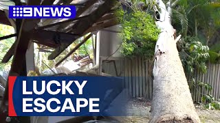 Woman trapped after tree crashes onto roof  9 News Australia [upl. by Peer70]