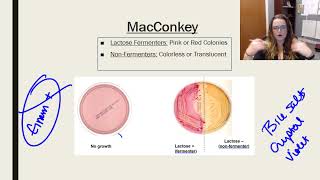 Laboratory tests media and techniques [upl. by Keriann]