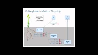 Herbicide effects on soil biology and function [upl. by Noslrac]