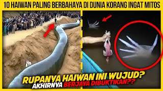 10 HAIWAN PALING BERBAHAYA DI DUNIA KORANG INGAT MITOS [upl. by Prince326]