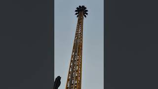 Drop Tower amusementpark travel shorts like tower views video scary dubai youtubeshorts [upl. by Droc]