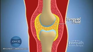 Synovial Fluid [upl. by Nethsa569]