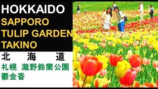 HOKKAIDO X  TULIP IN TAKINO SUZURAN PARK  SAMPLE ITINERARY  北海道 X  滝野鈴蘭公園 鬱金香  春季 旅程様本 [upl. by Anama]