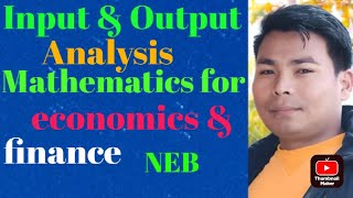 Input amp Output AnalysisBasic mathematicsBusiness mathematics NEBClass12 [upl. by Guido]