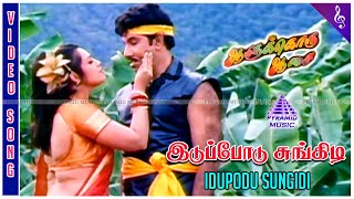 Idupodu Sungidi Video Song  Aalukkoru Aasai Movie Songs  Sathyaraj  Meena  S A Rajkumar [upl. by Elleinet]