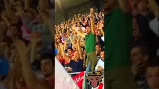 Lotta e vinci insieme a noi  Coro ultras Piacenza Calcio 1919  Curva Nord Piacenza [upl. by Lessirg]