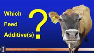 Hoards Dairyman April webinar Choosing feed additives wisely [upl. by Aleuname]