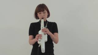 Introducing the Tones Roland Aerophone AE10 03 [upl. by Canon]